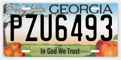 GA license plate PZU6493