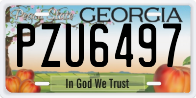 GA license plate PZU6497