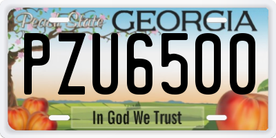 GA license plate PZU6500
