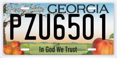 GA license plate PZU6501