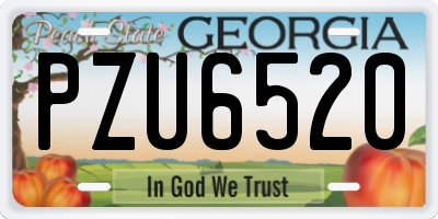GA license plate PZU6520