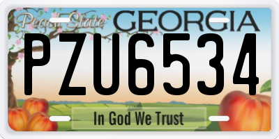 GA license plate PZU6534
