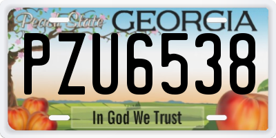 GA license plate PZU6538
