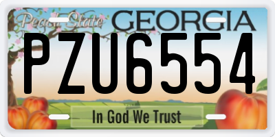 GA license plate PZU6554