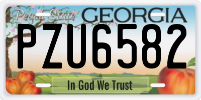 GA license plate PZU6582