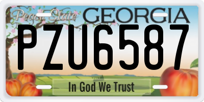 GA license plate PZU6587
