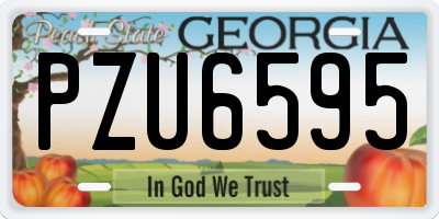 GA license plate PZU6595
