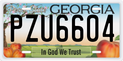 GA license plate PZU6604