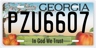 GA license plate PZU6607