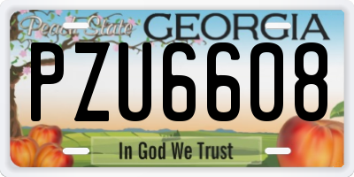 GA license plate PZU6608