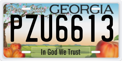 GA license plate PZU6613