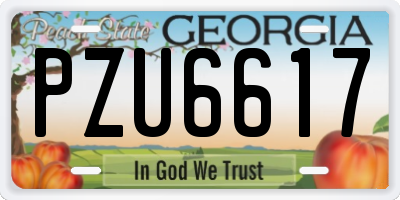 GA license plate PZU6617