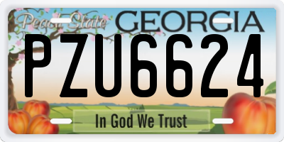 GA license plate PZU6624