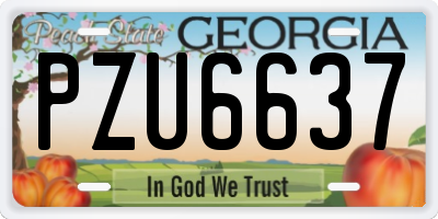 GA license plate PZU6637