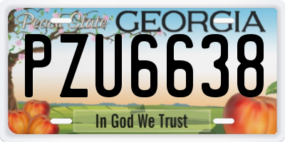 GA license plate PZU6638