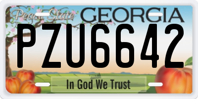 GA license plate PZU6642