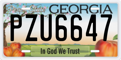GA license plate PZU6647