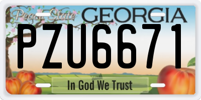 GA license plate PZU6671