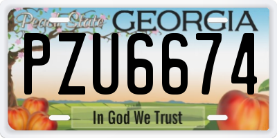 GA license plate PZU6674