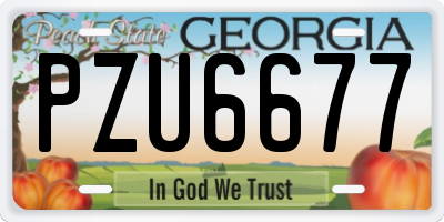 GA license plate PZU6677
