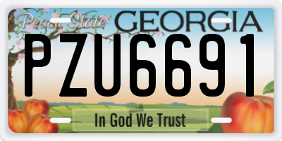 GA license plate PZU6691