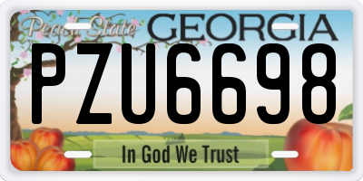 GA license plate PZU6698
