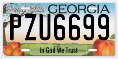 GA license plate PZU6699