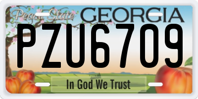 GA license plate PZU6709