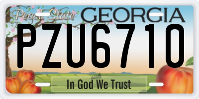 GA license plate PZU6710