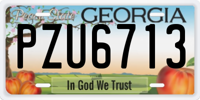 GA license plate PZU6713