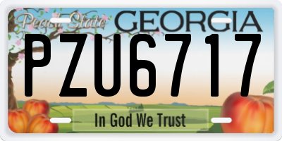 GA license plate PZU6717