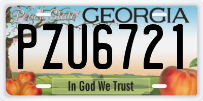 GA license plate PZU6721