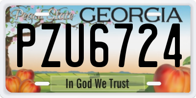 GA license plate PZU6724