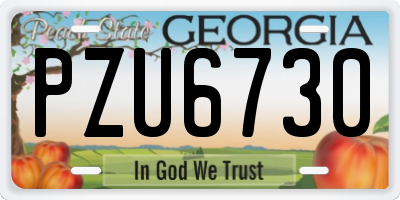 GA license plate PZU6730