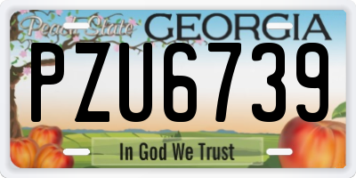 GA license plate PZU6739