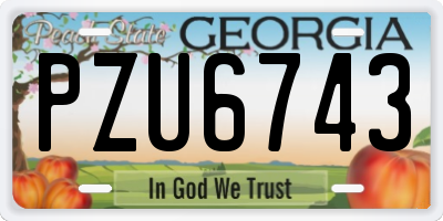 GA license plate PZU6743