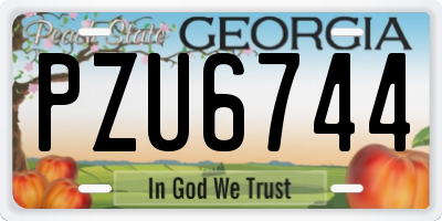 GA license plate PZU6744