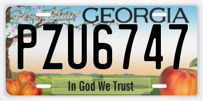 GA license plate PZU6747