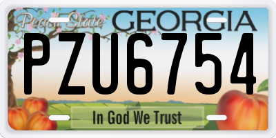 GA license plate PZU6754