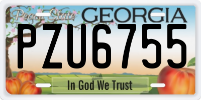 GA license plate PZU6755