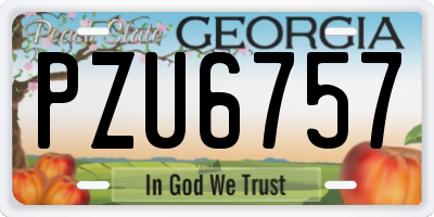 GA license plate PZU6757