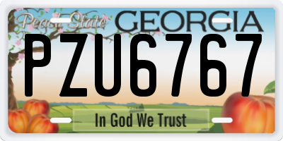 GA license plate PZU6767