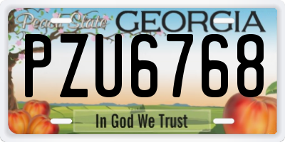 GA license plate PZU6768
