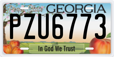 GA license plate PZU6773