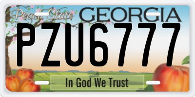 GA license plate PZU6777