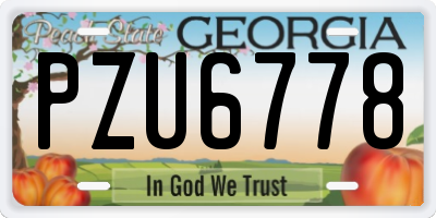 GA license plate PZU6778