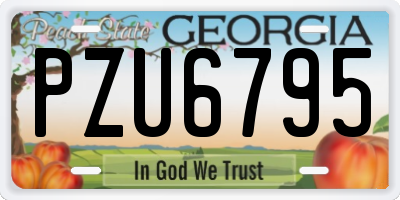 GA license plate PZU6795