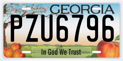 GA license plate PZU6796