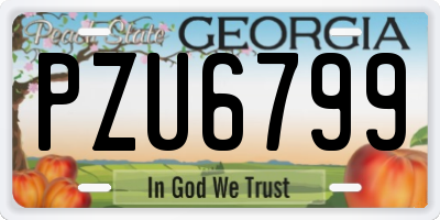 GA license plate PZU6799