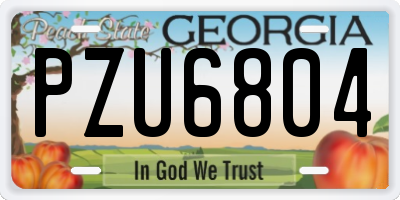 GA license plate PZU6804